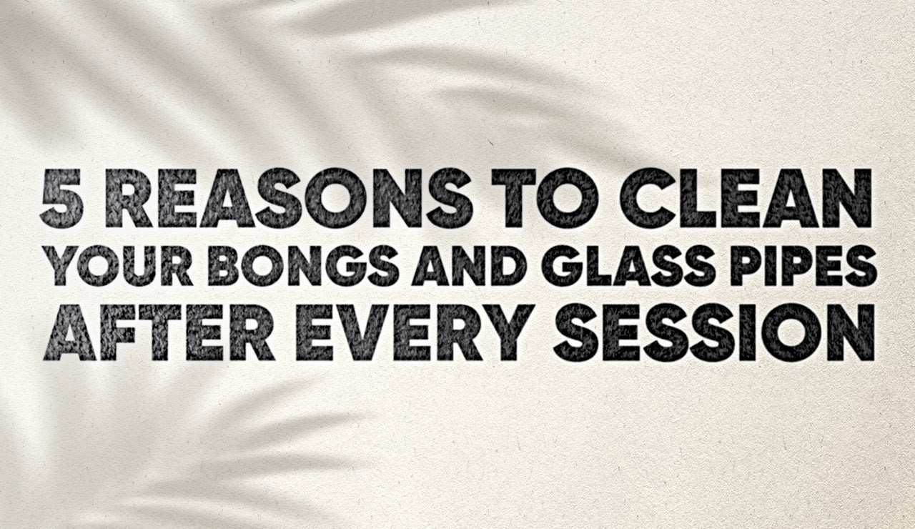 5 Reasons to Clean your Bongs and Glass Pipes after Every Session