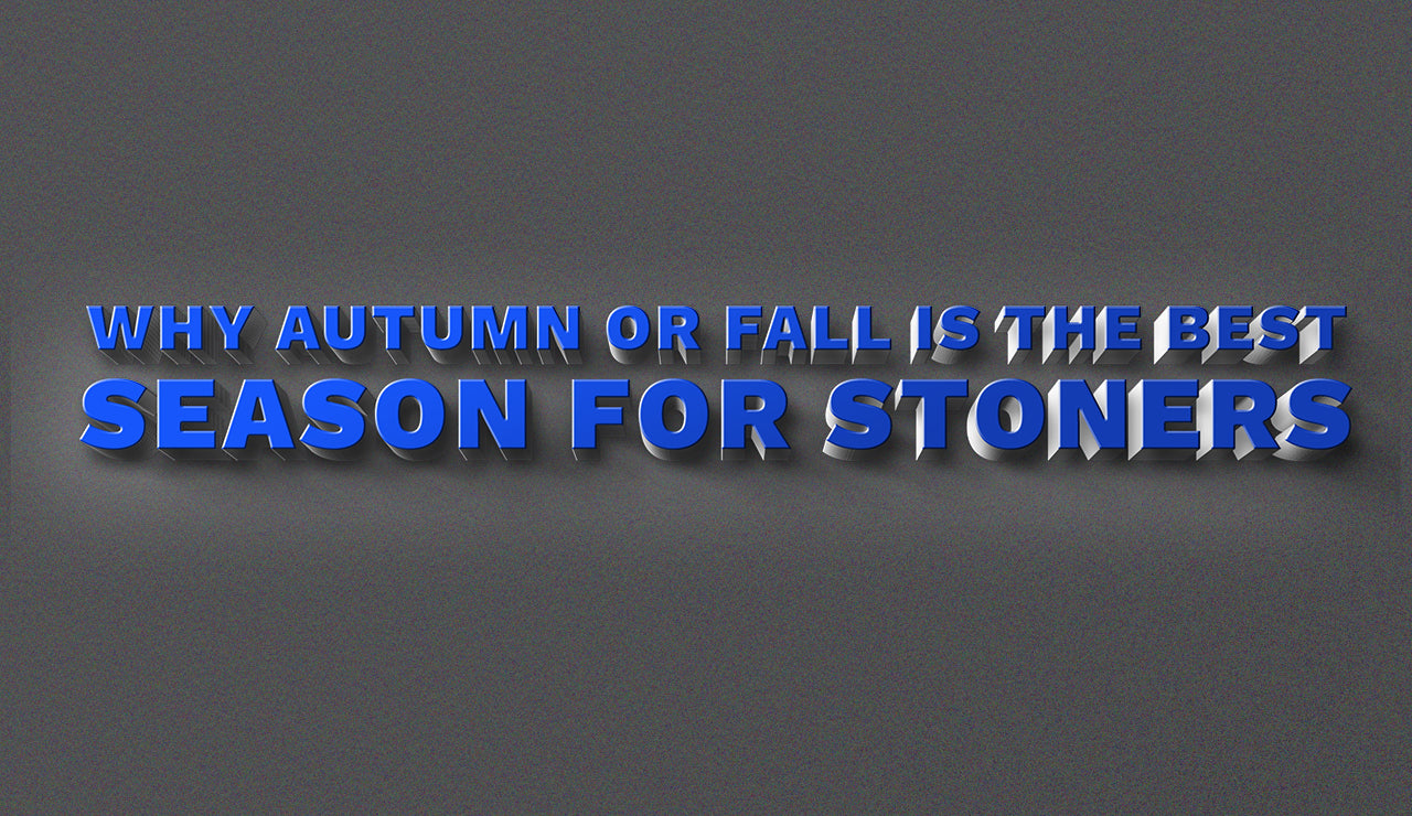 Why Autumn or Fall Is the Best Season for Stoners